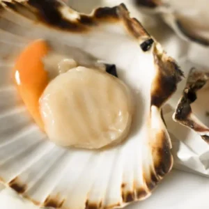 Noix de Saint Jacque